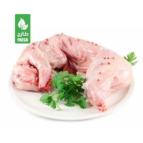 أرنب طازج 1.2 كج إلى 1.5 كج